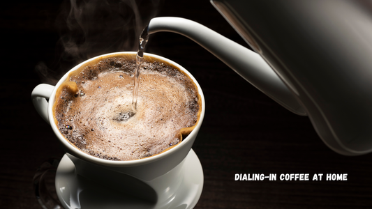 Brewing the Perfect Cup of Coffee