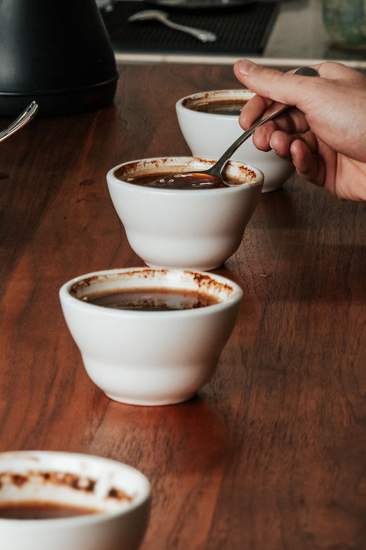 Group Tasting